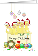 Five Cute Ducklings Holding Board which reads Merry Christmas card