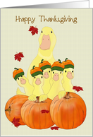 Ducklings and Mommy Duck Posing in Front of Pumpkins Thanksgiving card