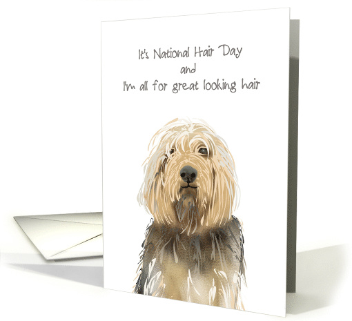 National Hair Day All for Great Looking Hair Otterhound card (1580988)