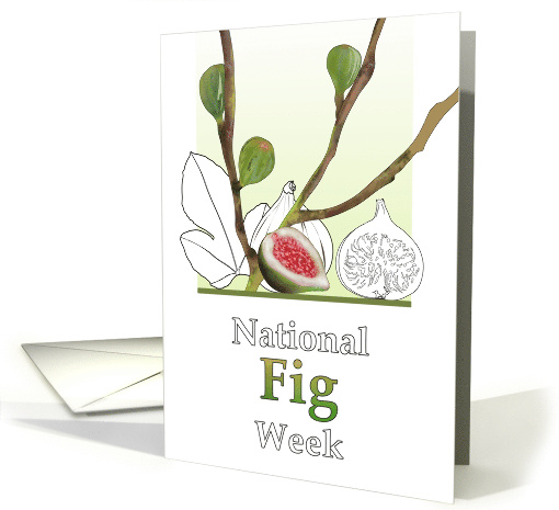 National Fig Week Figs on Branches Colored and in Black and White card