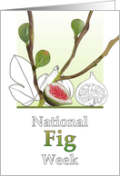 National Fig Week Figs on Branches Colored and in Black and White card
