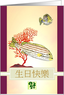 Birthday in Chinese Colorful Fish and Coral card