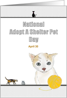 National Adopt a Shelter Pet Day April 30 Kitten and Cats card