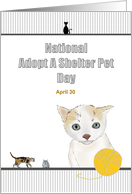 National Adopt a...