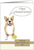 National Adopt a Shelter Pet Day Dog has New Forever Home card