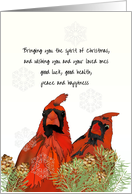 Snowflakes Drifting Down onto Cute Red Cardinal Birds Christmas card