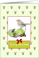 Christmas Robin Perched on an Apple card