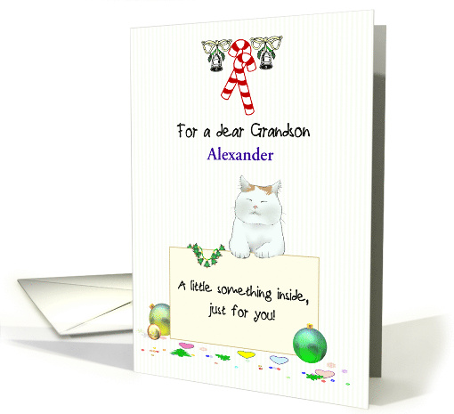 Christmas Money Gift for Young Grandson Cute Cat Holding Note card