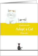 National Adopt a Cat Month Cartoon Cats card