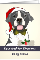 Christrmas Pet Dog to Human Pitbull Wearing Santa Hat and Bow Tie card