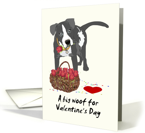 Cute Pitbull Holding Rose in Mouth, Valentine's Day from Pet Dog card