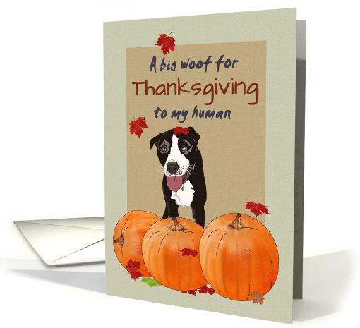 Pitbull And Pumpkins Big Woof to Human For Thanksgiving card (1594896)