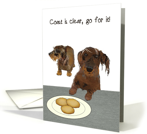 Thank You to Good Friend Having My Back Dogs Going for Cookies card