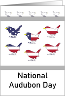 National Audubon Day Birds in Colors of the American Flag card