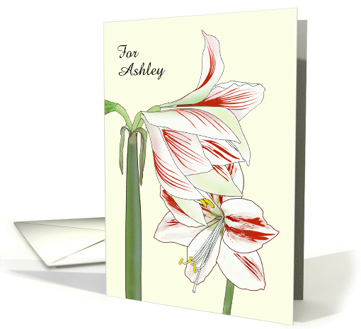 Daughter in Law Birthday Amaryllis Lily Blooms Custom card (1600640)