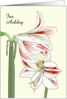 Daughter in Law Birthday Amaryllis Lily Blooms Custom card