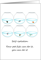 Coronavirus Self Isolation Fish in Different Water Bowls card
