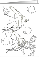 Thinking of You Fish and Coral Coloring card