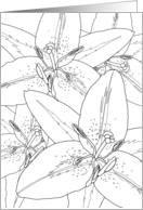 Thinking of You Star Gazers Coloring card
