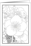 Thinking of You Rose de Noel Coloring card