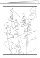 Thinking of You Lily of the Valley and Bluebell Coloring card