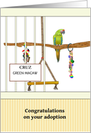 Congratulations Adopting New Pet Bird Green Macaw Custom card