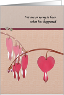 Sympathy Sudden Tragic Loss Lamprocapnos Blooms card