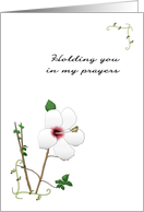 Holding You in my Prayers Loss of Father in Law Hibiscus Bloom card