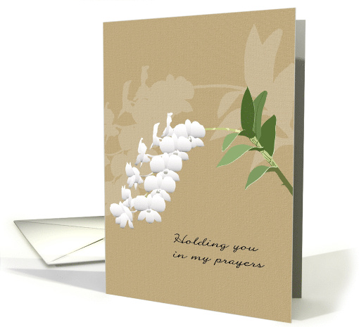 Holding You in my Prayers Loss of Mother in Law White Orchids card
