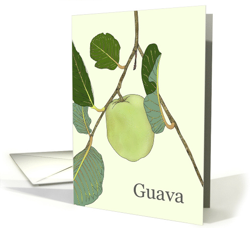 Guava Fruit On Branch Blank card (1635888)
