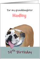 Granddaugther’s 19th Birthday Funny Bulldog Custom card
