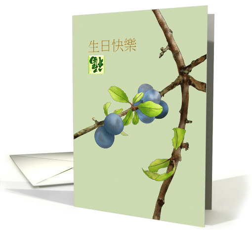 Birthday in Chinese Plums on Branch and Chinese Character... (1640206)