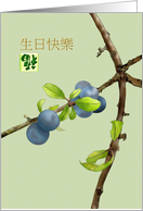 Birthday in Chinese Plums on Branch and Chinese Character for Luck card