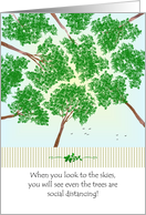 Encouragement During Social Distancing View of Tree Canopy card