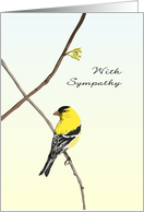 Sympathy Sketch of American Goldfinch Perched on Slender Twig card