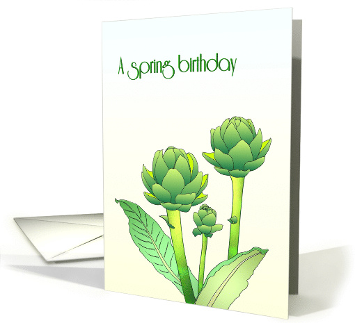 Spring Birthday Drawing of Artichokes and Foliage card (1657756)