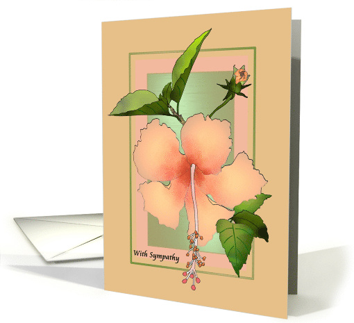 Pink Orange Hibiscus Bloom and Bud and Foliage Sympathy card (1659578)