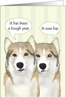 1st Chrismukkah Newlyweds Pet Dogs Good Wishes for Year Ahead card