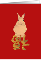 Chinese New Year of the Rabbit Profile of a Rabbit card