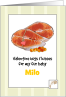 Valentine Hugs and Kisses for Pet Cat Salmon Steaks and Roe Custom card