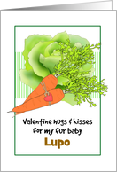 Valentine Hugs and Kisses for Pet Rabbit Carrots Lettuce Custom card