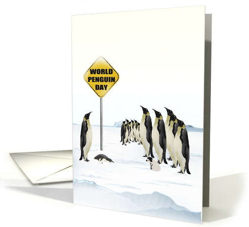 Penguins Looking at World Penguin Day Sign card (1668202)