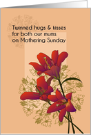 From Twins to Both Mums Mothering Sunday Stargazer Blooms card