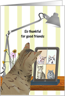 Thankful for Good Friends Through Good and Bad Cats on Video Call card
