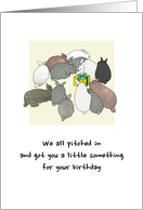 Birthday from All of Us Colony of Rabbits Huddled round Present card