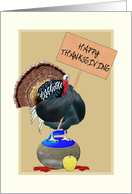 Thanksgiving Turkey Standing on Curling Stone card