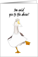 Yes to The Dress Brother Congratulating Sister Goose in White Dress card