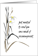 Words of Encouragement for Ex Daughter in Law Sketch of Orchids card
