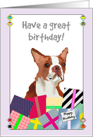 Birthday Red Boston Terrier and Colorful Presents card