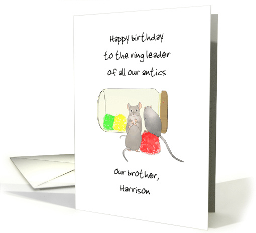 Birthday for Brother Ring Leader of Siblings Antics When... (1698398)